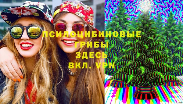 spice Алексеевка