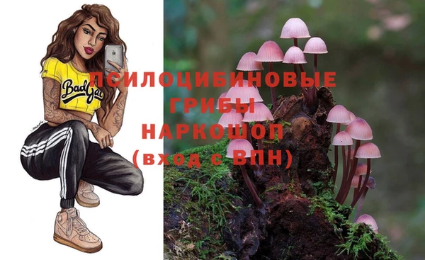 спиды Пролетарск