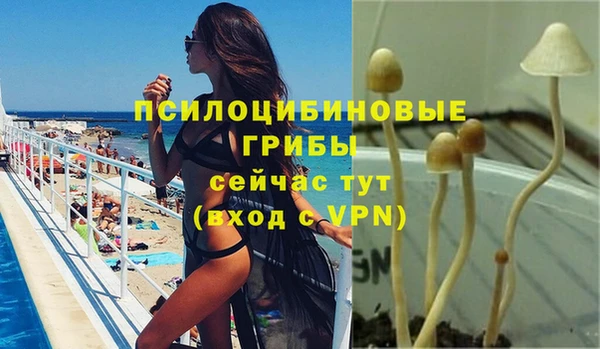 spice Алексеевка